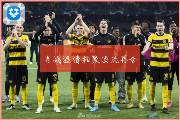 肖战温情相聚顶流再会